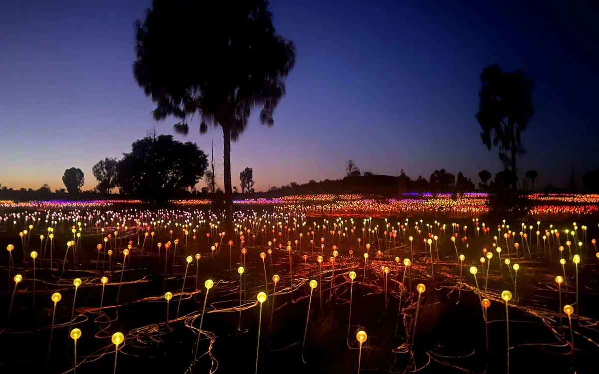 The Field of Light installation of small glowing stems spread across the desert at dawn