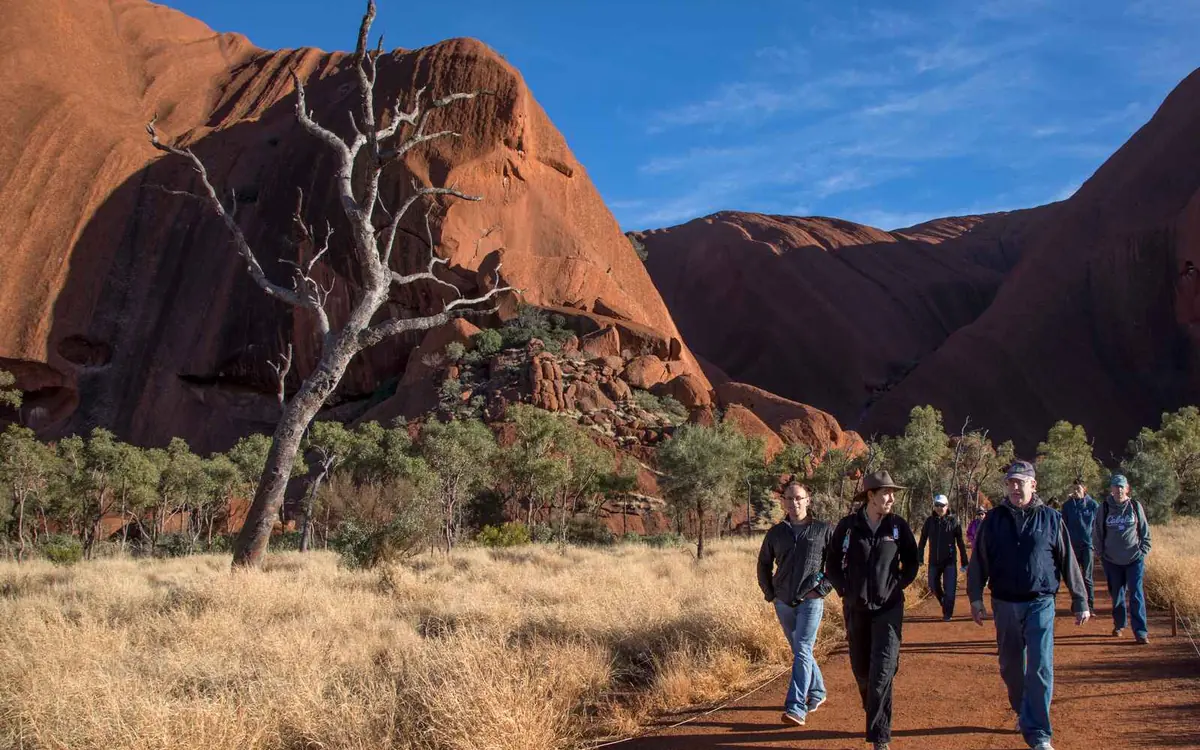 Red sand and clumps of spinifex grass running to the horizon of the Northern Territory desert, with the bulk of Uluru low in the distance