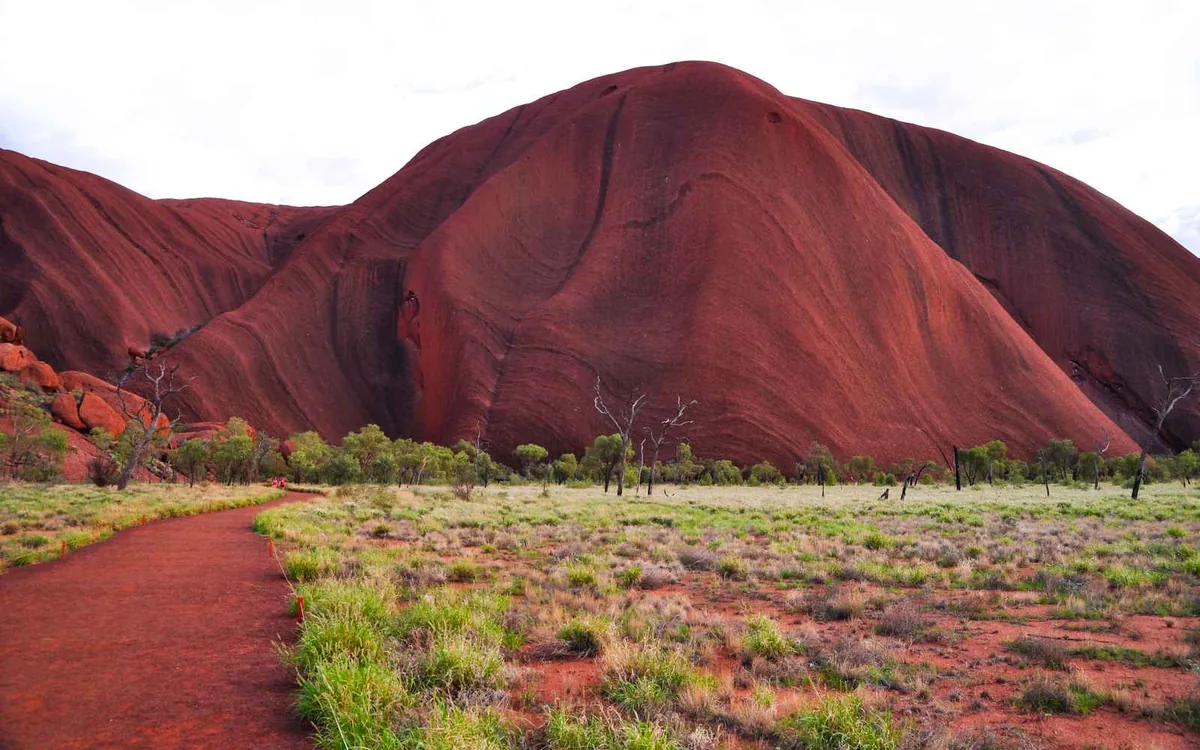 Red sand and spinifex grass in the Northern Territory desert, the flat outback horizon in the distance under a wide sky